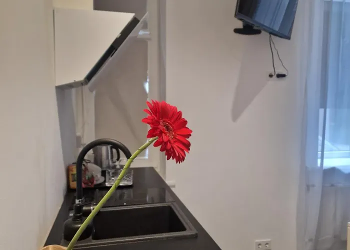 - Renta 18 Apartament